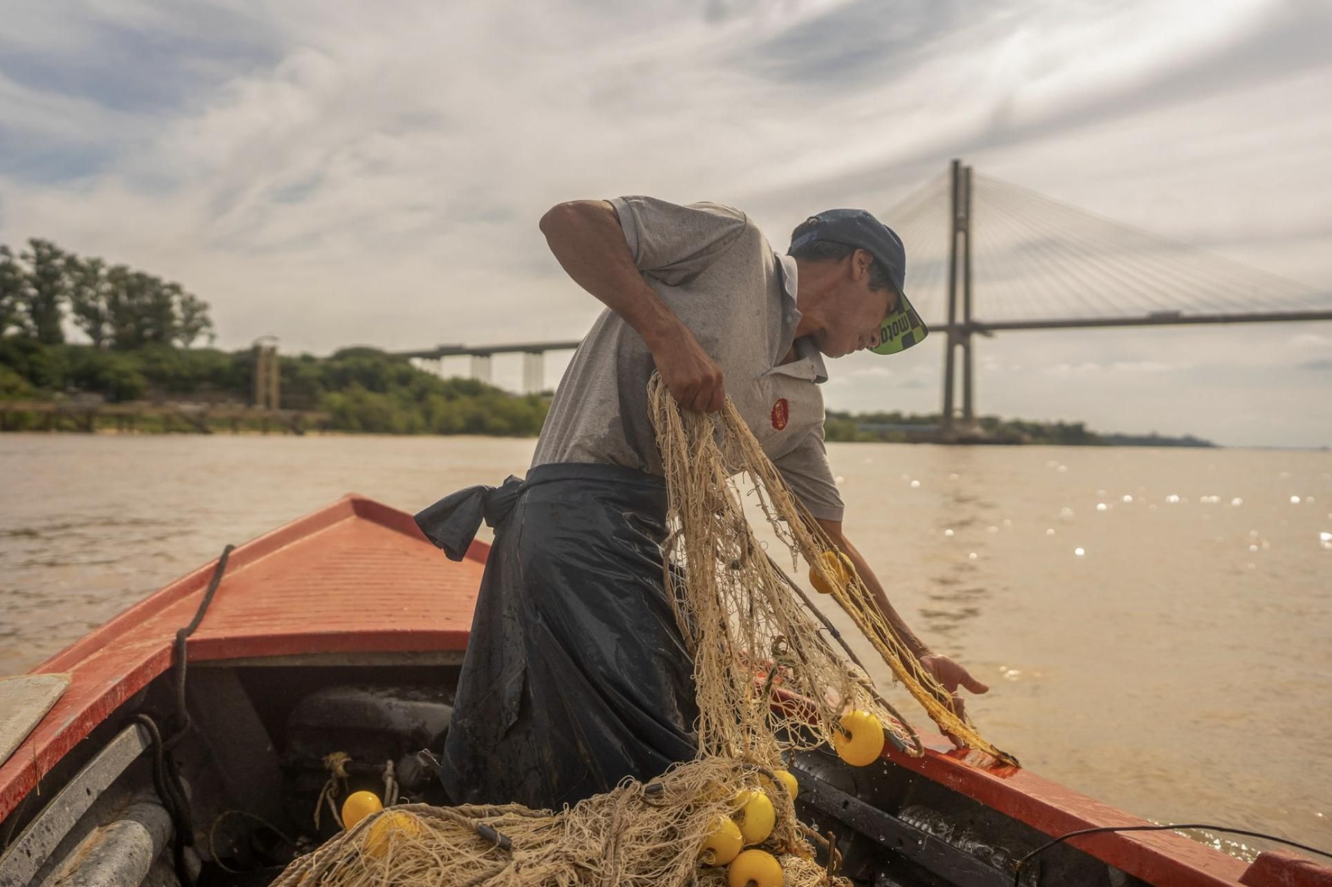 El pescador local Carlos Rubén Caballero saca su red en el Paraná