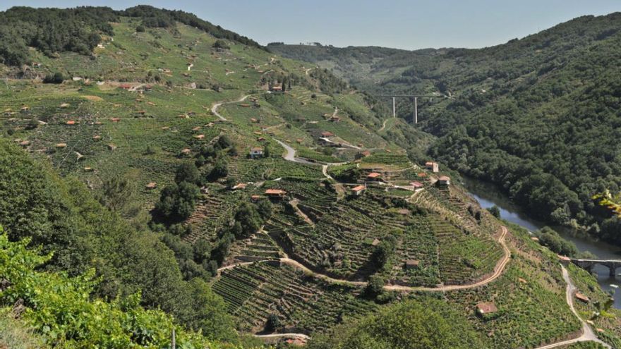 El organismo asesor de la Unesco recomienda que la Ribeira Sacra no sea declarada Patrimonio Mundial