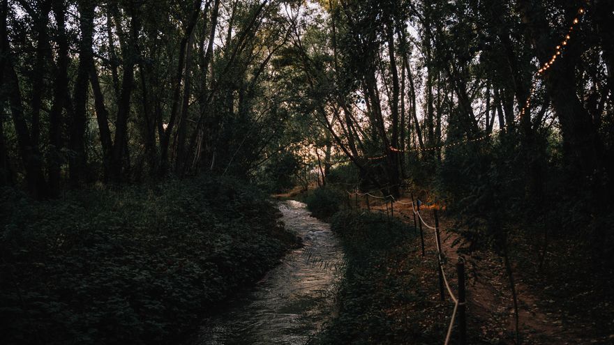 Alrededores del Bosque Sonoro.