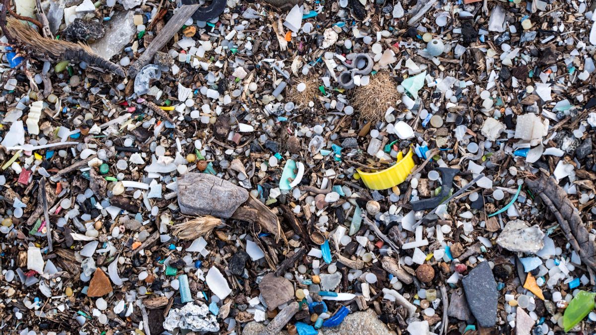 Un estudio desvela el origen de los microrresiduos llegados a Canarias por mar