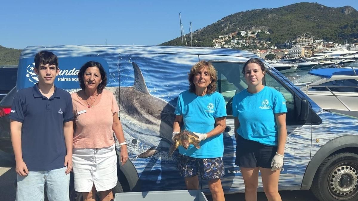 Rescaten una tortuga marina que tenia una xarxa embolicada en una de les seves aletes a Mallorca