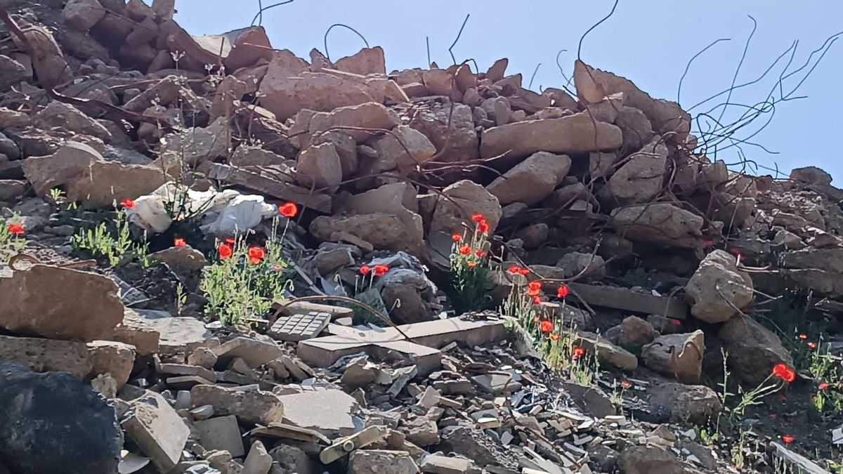 Entre los escombros de la zona de movimientos de tierra de la Red de Calor se aprecia claramente una cruz.