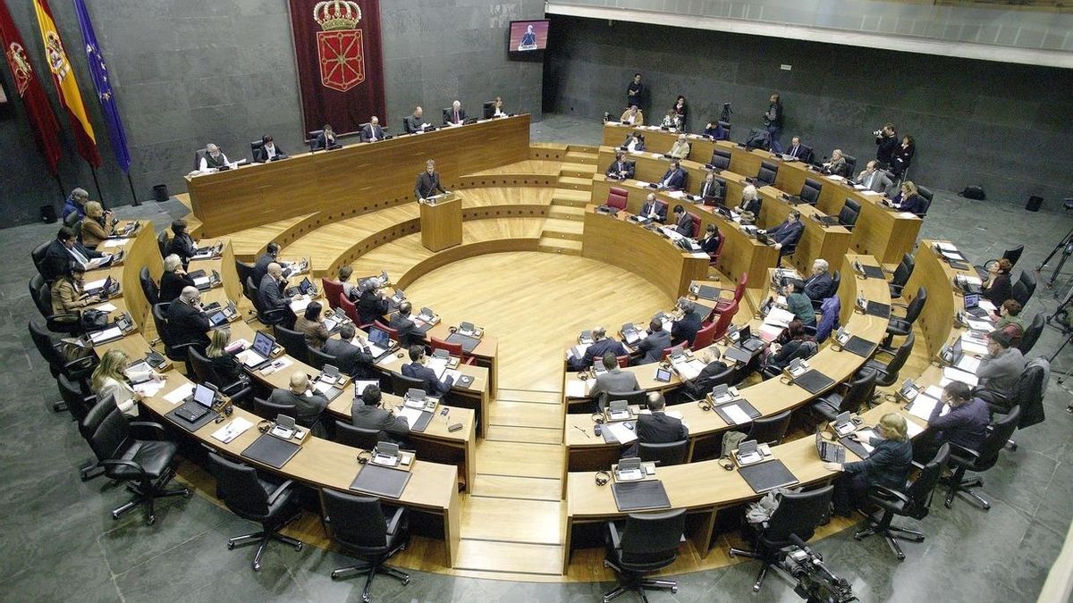 El Parlamento de Navarra aprueba por unanimidad la ley contra la violencia hacia las mujeres