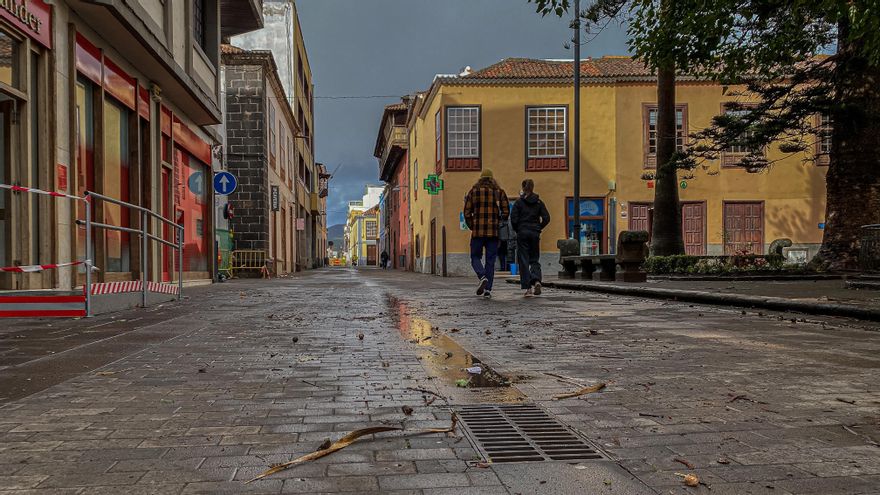 Trozos de palmera caídos en las calles de La Laguna.