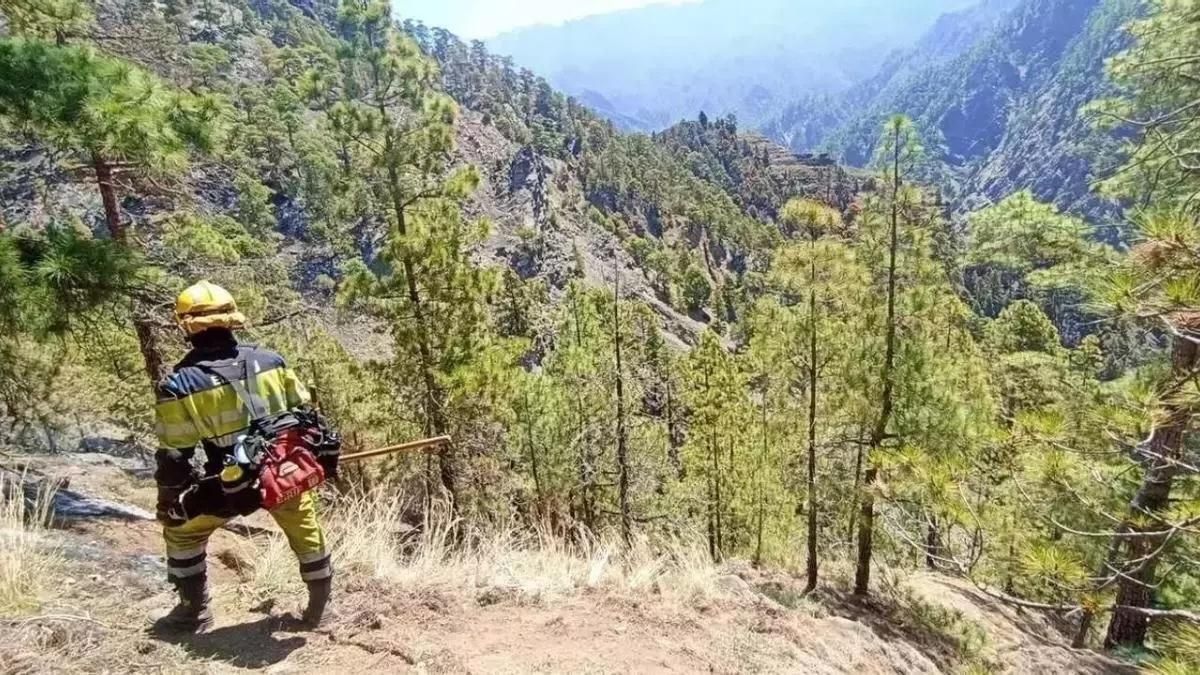 El calor obliga al Gobierno canario a poner en alerta a dos islas