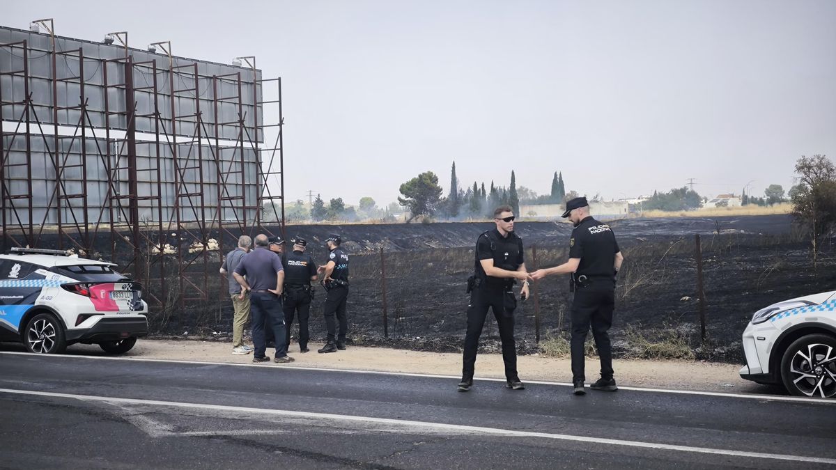 Incendio junto a la carretera de Piedrabuena, en Ciudad Real