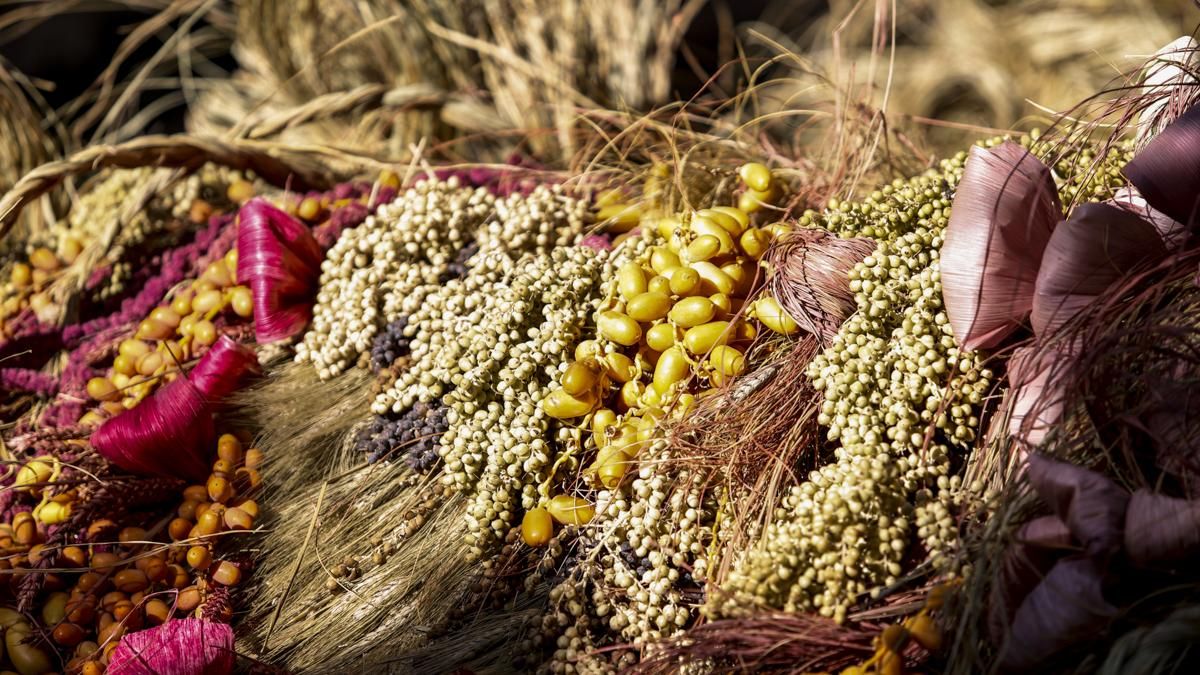 Flora 2025 - 'Tramas pasadas, calma futura' (Patio de los Naranjos)