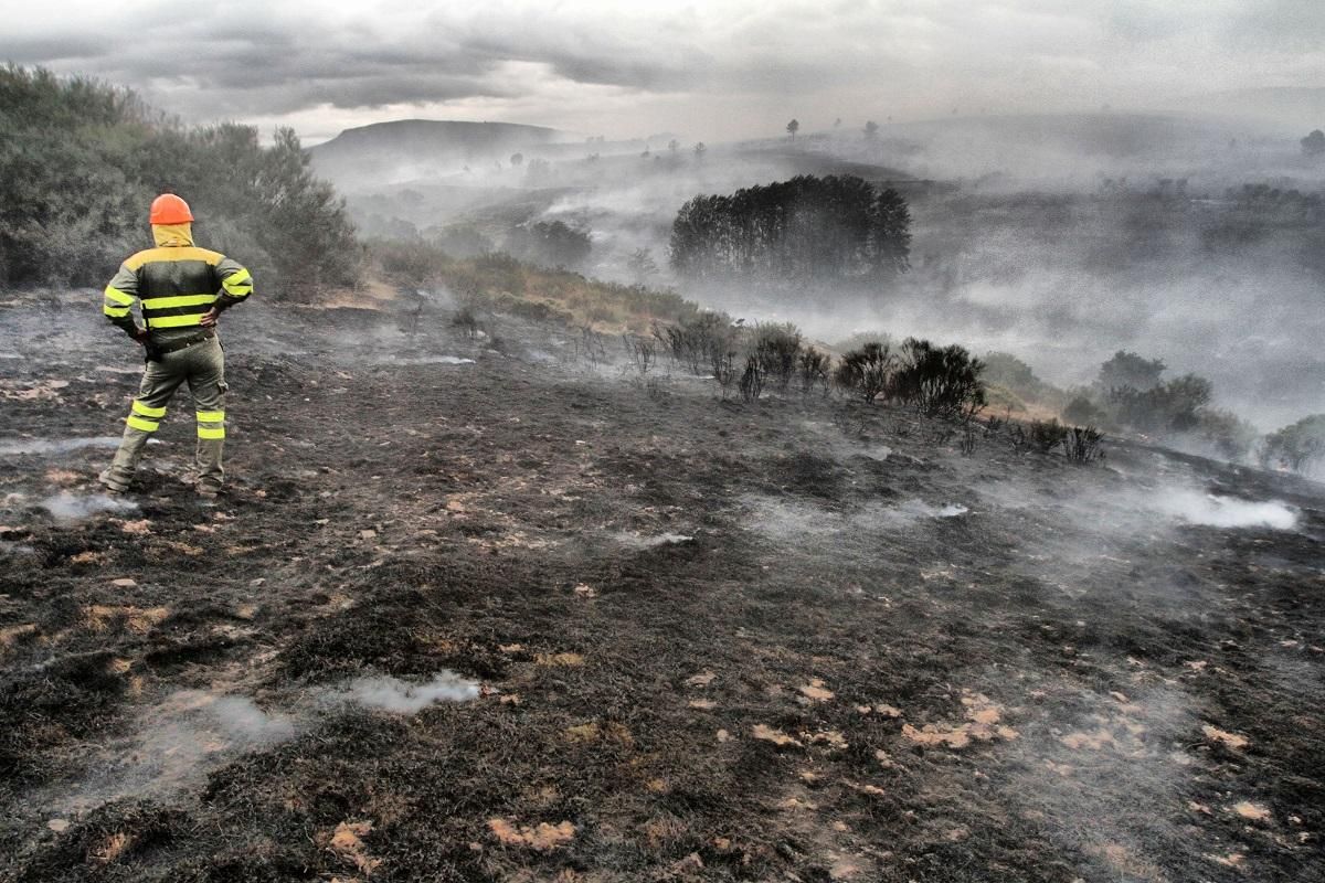 Incendio forestal. Un brigadista observando el terreno devastado en el incendio ocurrido el día 22 de agosto entre la zona de La Maragatería y El Bierzo. Villagatón (León). 22/08/2015 | FOTO: BRUNO MORENO