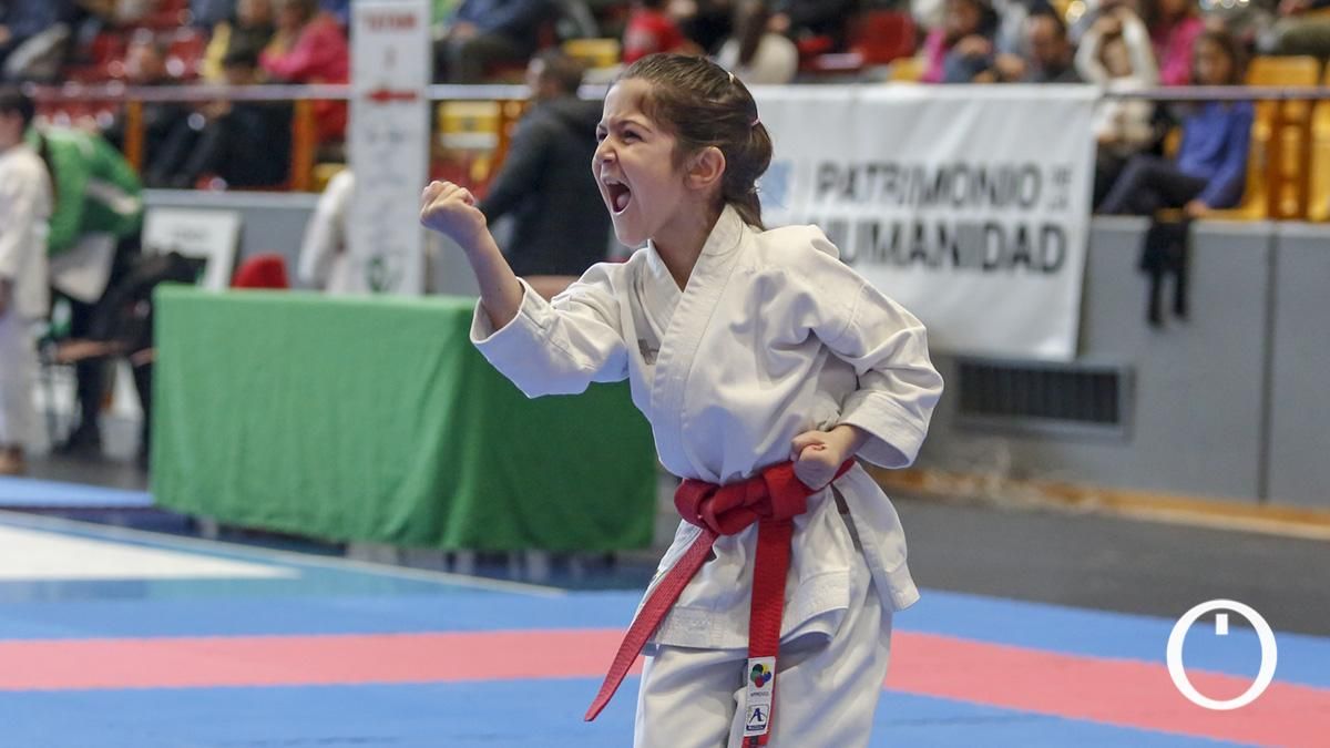Campeonato de Andalucía Infantil y Juvenil de kárate