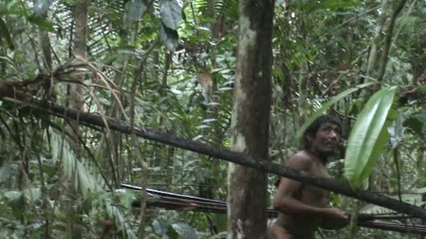 Imagen de un hombre kawahiva, capturada en un encuentro casual de agentes gubernamentales con la tribu, en Brasil. En las profundidades de la Amazonia brasileña el pequeño grupo de indígenas aislados al que pertecene podría estar a punto de extinguirse. Los últimos kawahivas viven en una huida permanente, escapando de la violencia de los foráneos. Los ataques y las enfermedades han matado a sus familiares. Survival International hace un llamamiento con motivo del Día Internacional de los Pueblos Indígenas para que Brasil demarque y proteja debidamente la tierra de este pueblo para evitar su genocidio. COPYRIGHT © FUNAI