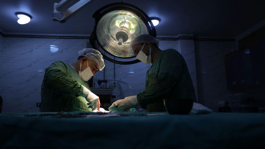 El primer trasplante de hígado de cerdo a un humano abre una vía para ampliar la reserva de órganos disponibles