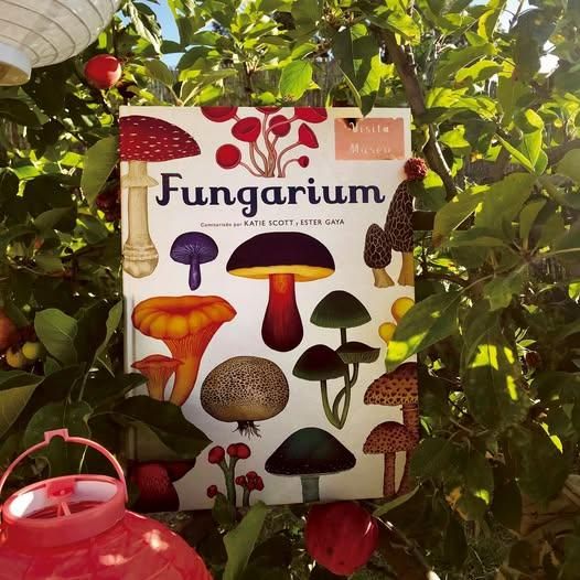 'Fungarium' (Katie Scott y Ester Gaya).