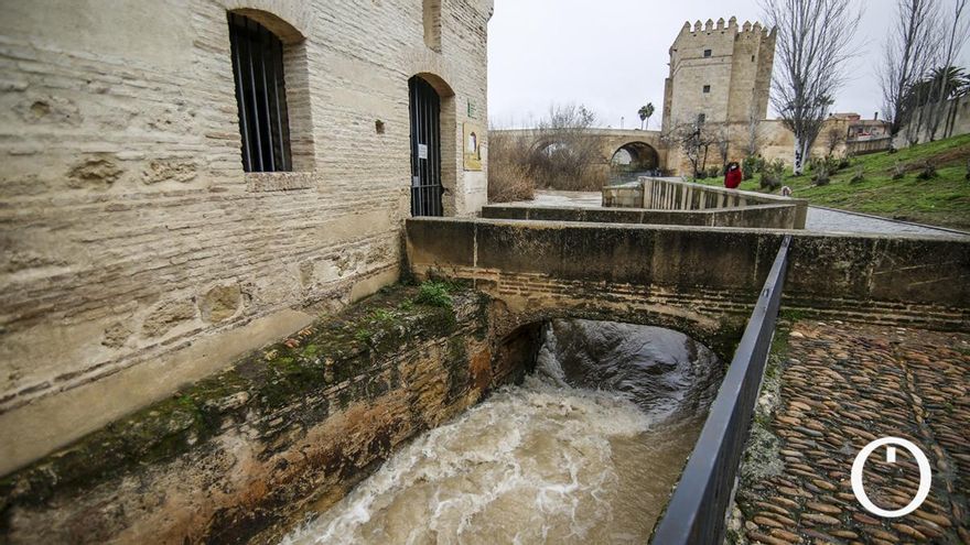 La crecida del río Guadalquivir a su paso por Córdoba