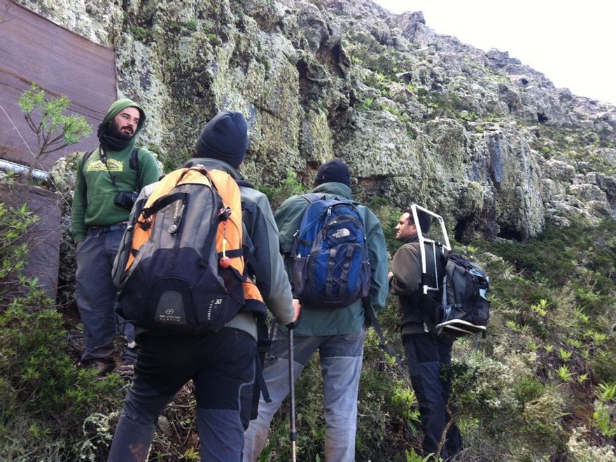 Técnicos del Life Guguy supervisan las mallas capta nieblas instaladas en las zonas más altas de El Cedro.