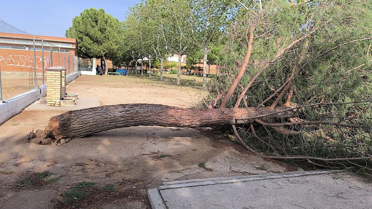 Desactivado el METEOCAM en todas las provincias de Castilla-La Mancha tras 87 incidencias