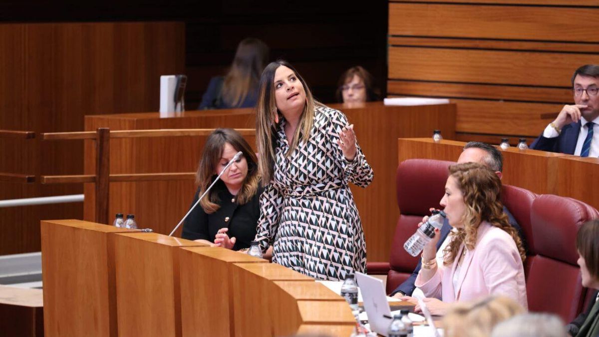 25 medios de comunicación de Castilla y León llevan a los tribunales la Ley de Publicidad Institucional por vulnerar la Constitución