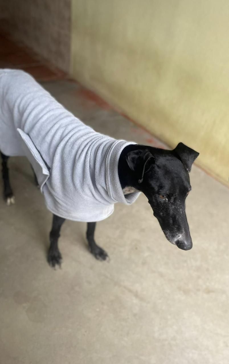 Santi fue diagnosticado de epilepsia