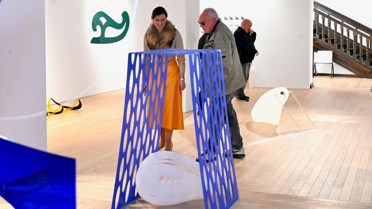 Presentación de la muestra de Lejardi en el MAS.