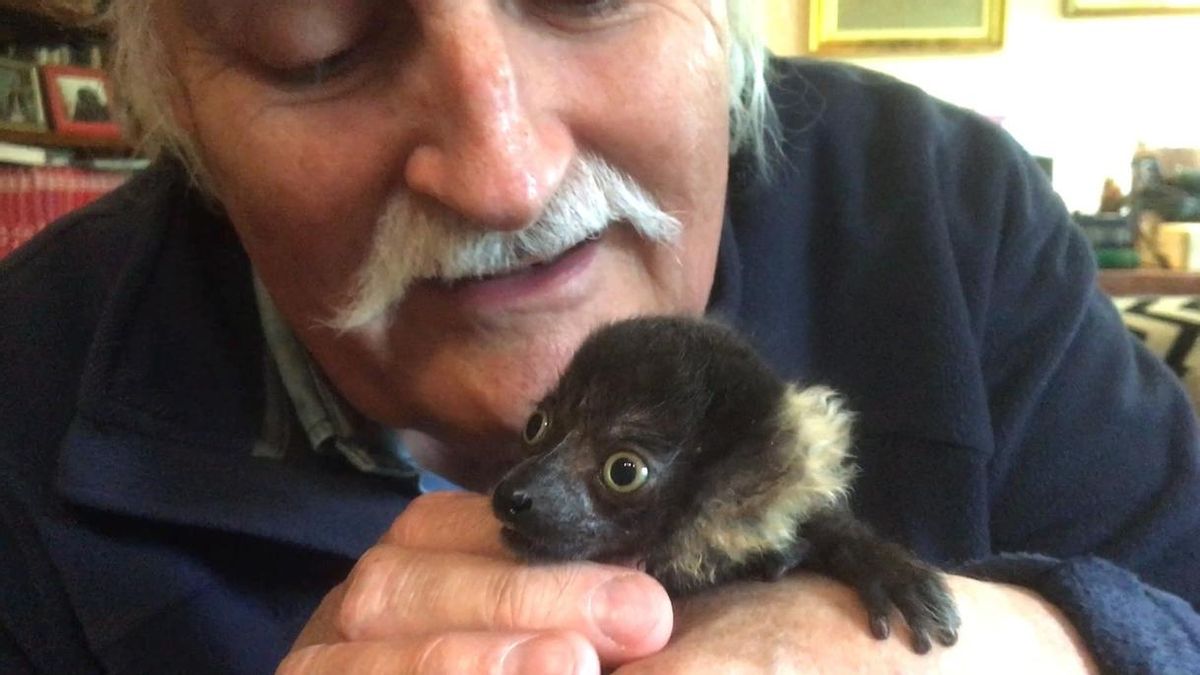 El Zoo de Santillana reabre este sábado, con menos de un 30% de aforo y nuevos inquilinos