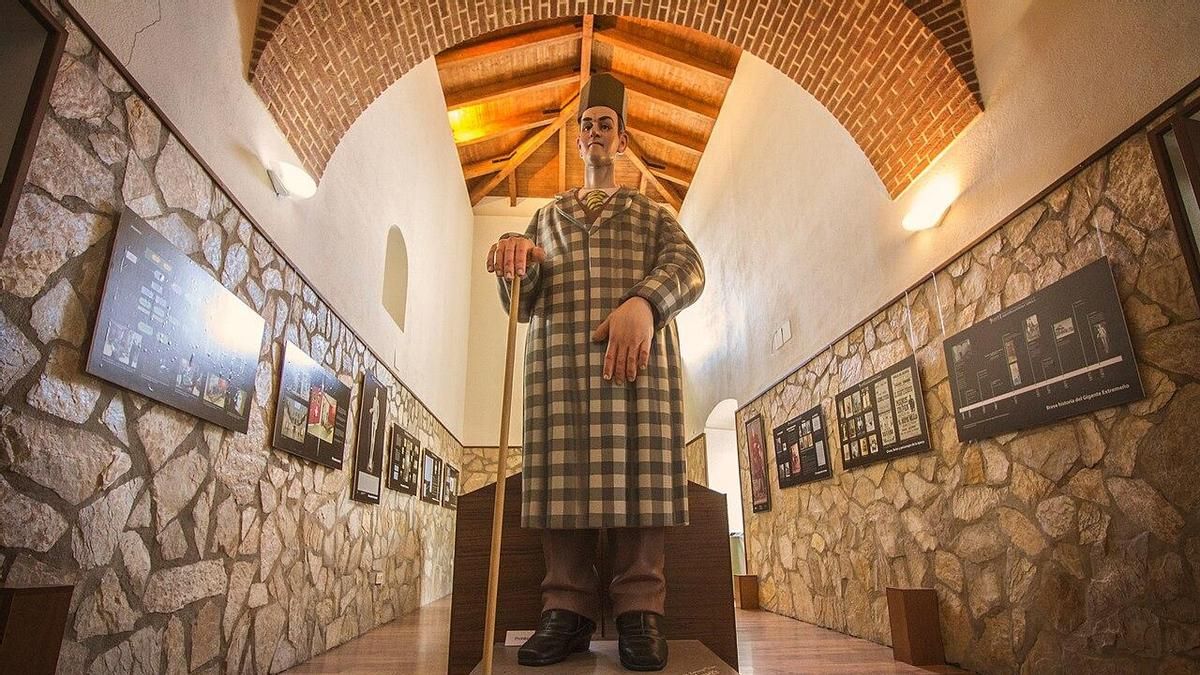 Medía 2,35 metros y terminó expuesto en un museo: la trágica y poco conocida historia del 'Gigante Extremeño'