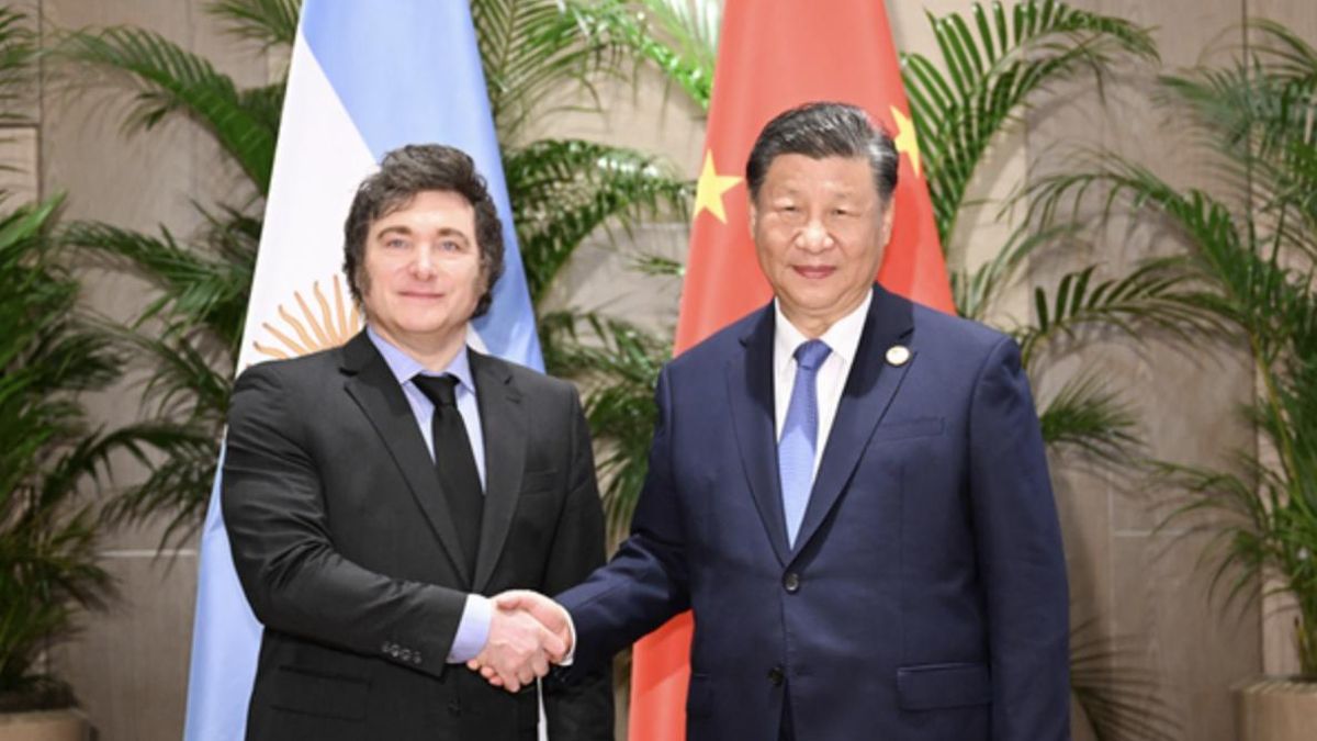 Milei y el presidente chino, Xi Jinping, en noviembre pasado en la cumbre del G20 en Brasil.