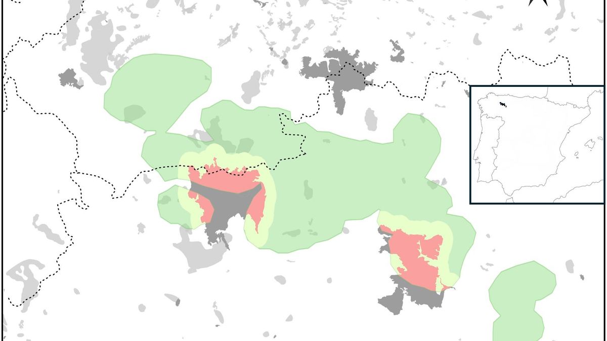 En el mapa se muestra en color verde el área estimada de distribución del urogallo cantábrico en 2019. Los fuegos producidos hasta el 1 de octubre 2025 se indican en color gris oscuro, mientras que los ocurridos con anterioridad desde el 2016 aparecen en gris claro. El color rojo indica la superficie del área de distribución del urogallo directamente afectada por los incendios de 2025, y el amarillo, la zona en la que los cantaderos existentes han visto afectadas sus áreas de ocupación total o parcialmente.
