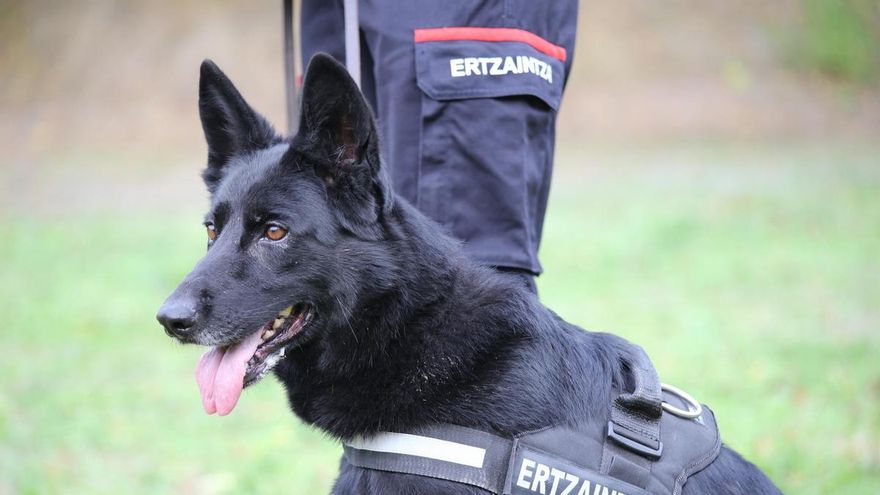 Los perros de la unidad canina de la Ertzaintza serán adoptados de la perrera de Vitoria