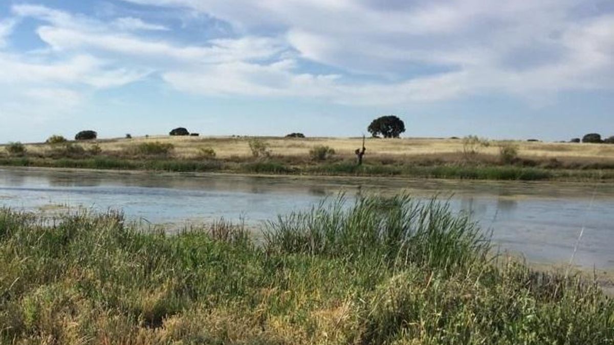 Proyectan la demolición de una pequeña presa que alimenta el parque periurbano más al norte de Andalucía