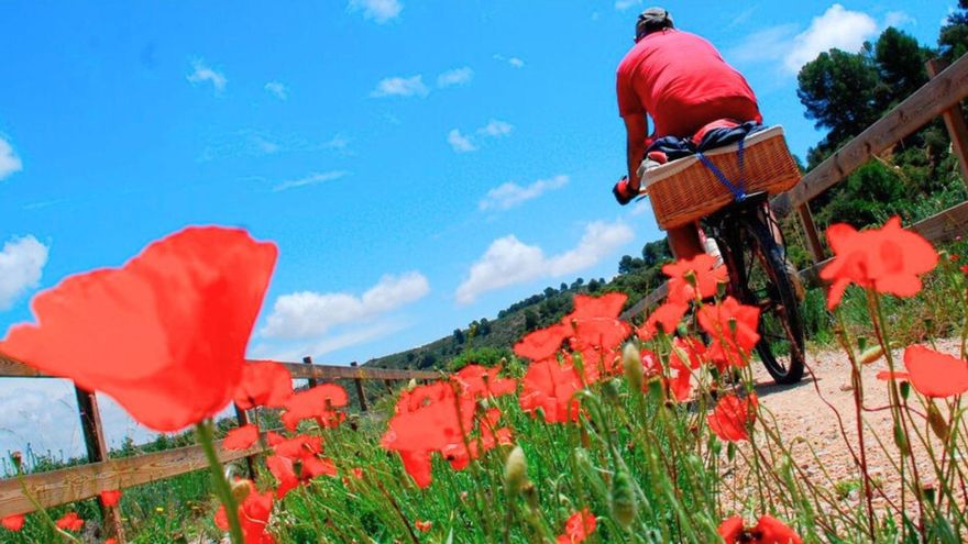Primavera sobre ruedas: siete Vías Verdes para descubrir España en bici