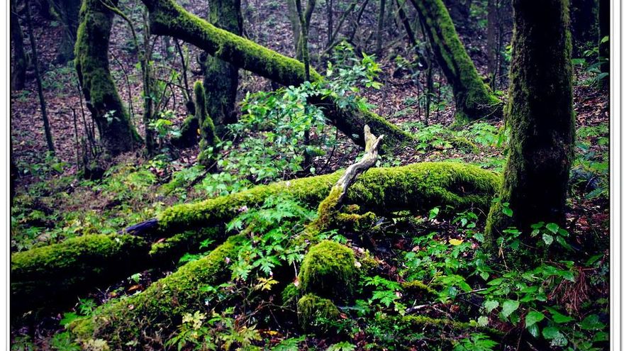 Estas son las siete maravillas naturales de España que rivalizan con las del mundo