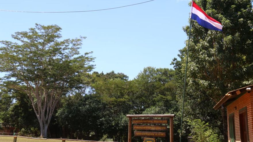 Denuncian que el narcotráfico ha talado 100.000 árboles este año en una reserva paraguaya