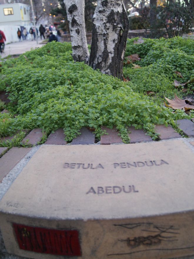 Alguien la tomó con la URSS. En general, el resto de placas se conservan en buenas condiciones