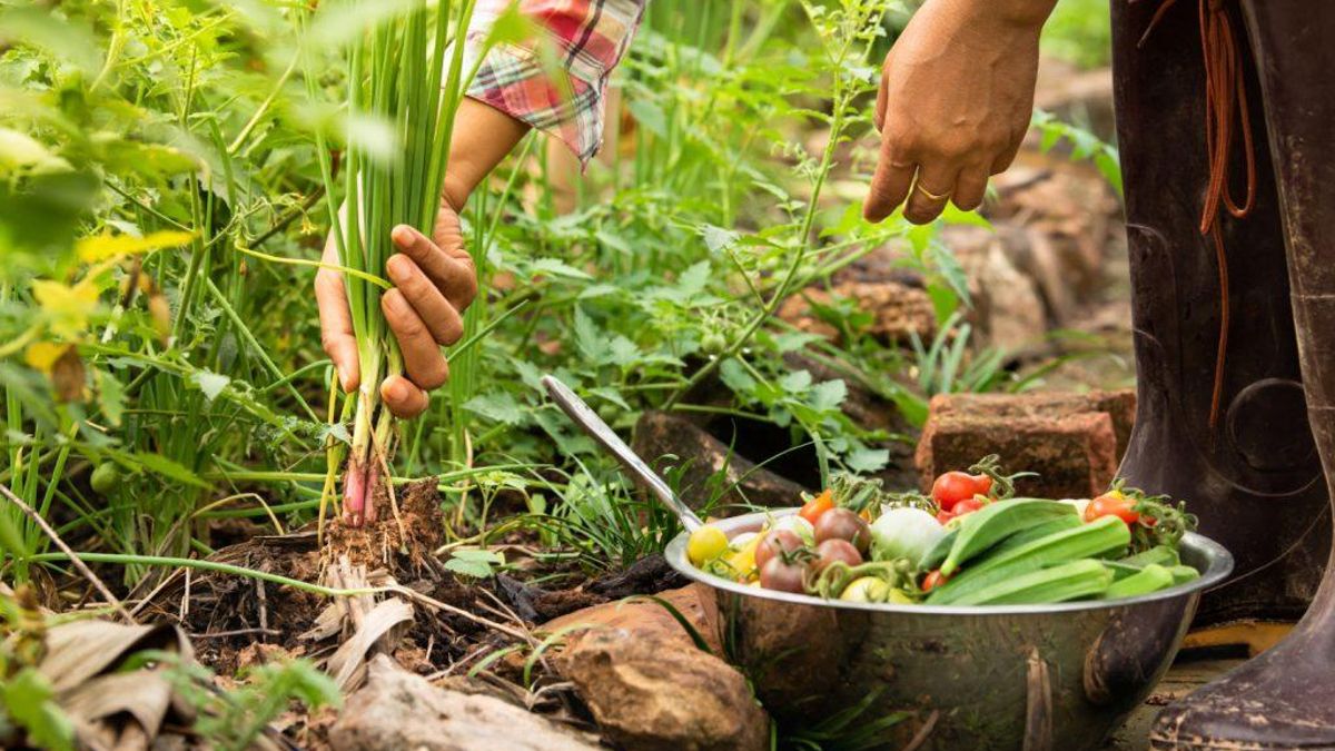 Día de la Gastronomía Sostenible: ¿por qué se celebra el 18 de junio?