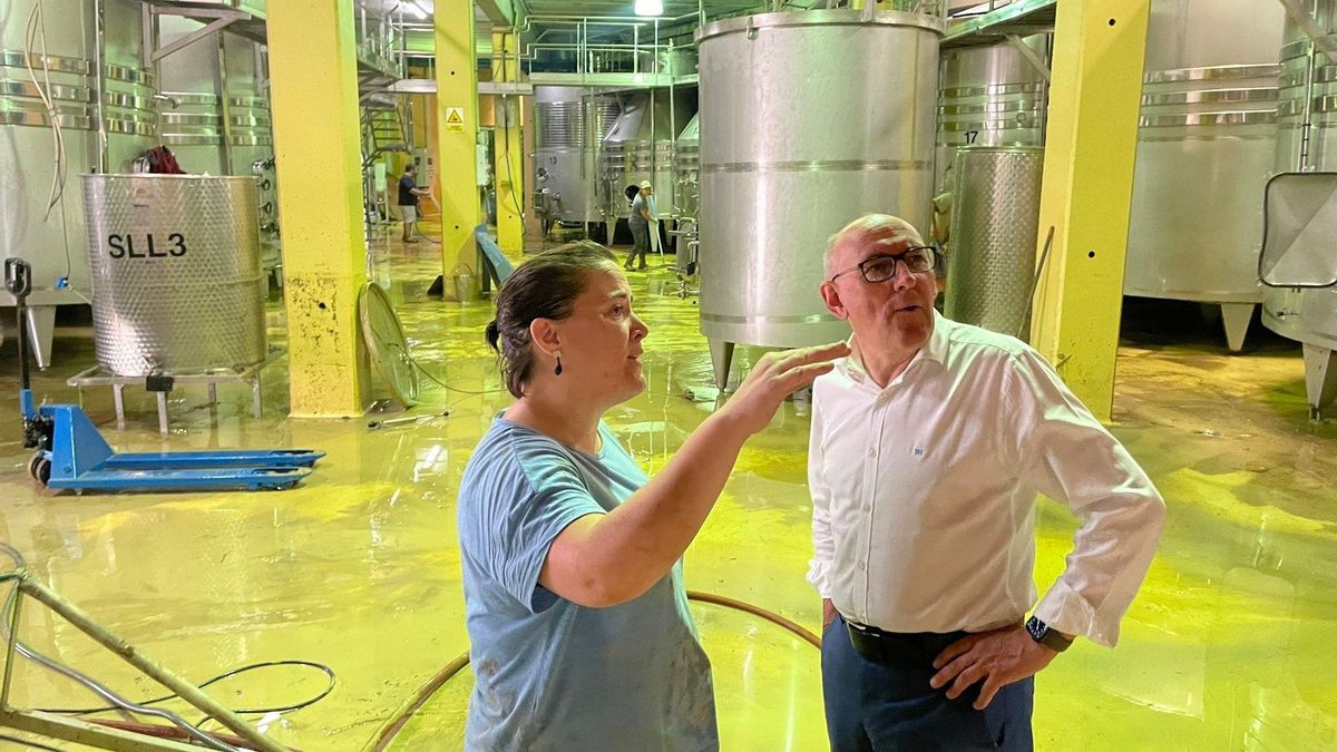 El diputado general de Álava, Ramiro González, el sábado en una de las zonas afectadas por las lluvias en la Rioja Alavesa