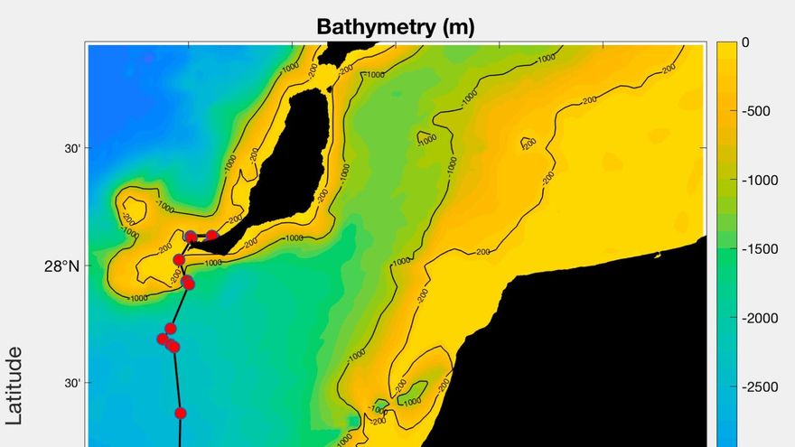 Recorrido de la tortuga Chofe