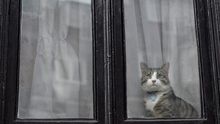 Assange es interrogado en la embajada ecuatoriana en Londres