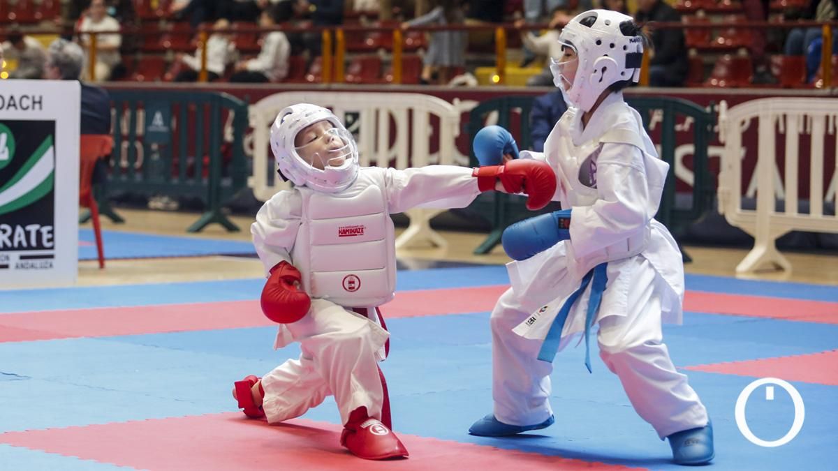 Campeonato de Andalucía Infantil y Juvenil de kárate