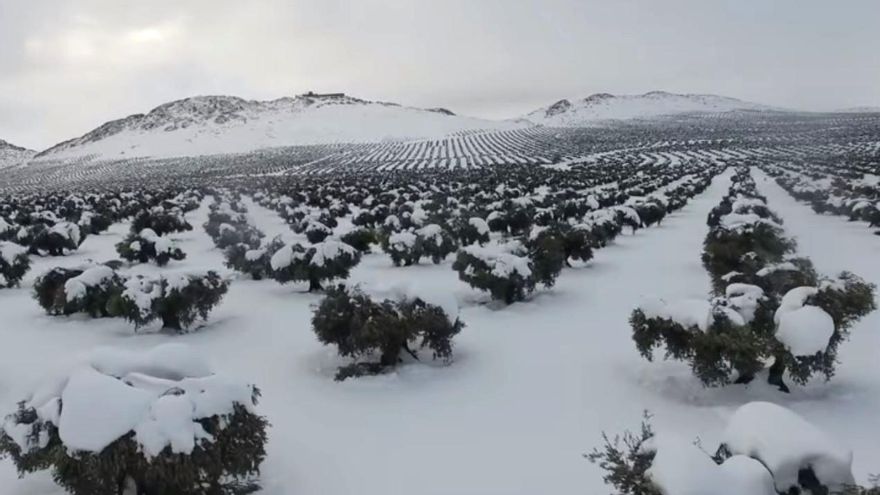 Las indemnizaciones abonadas por Agroseguro en Castilla-La Mancha superaron los 124 millones de euros en 2021