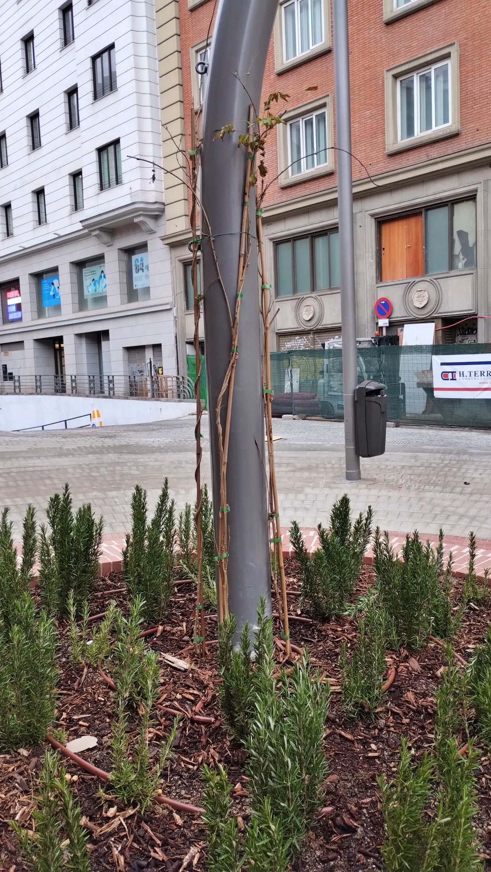 Las imágenes de la transformación peatonal en torno al mercado de Mostenses