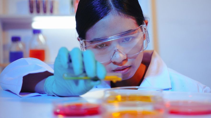 El Grado en Ciencia y Tecnología de los Alimentos de la UCLM recibe el sello EQAS-Food que reconoce la excelencia