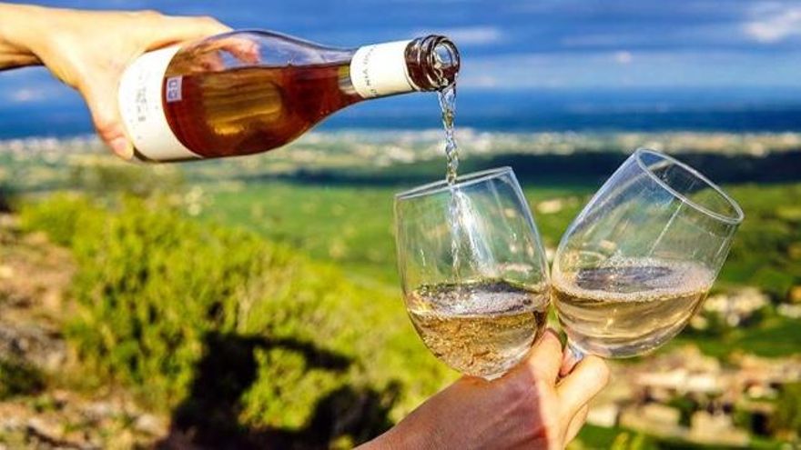 El consumo de vino, en la senda de la recuperación: sube en junio y encadena cuatro meses de crecimiento