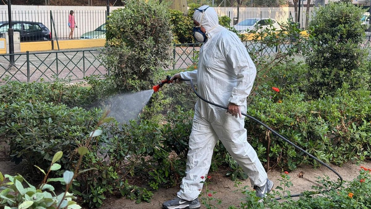 Tres nuevos casos de fiebre del Nilo elevan a nueve los afectados en Andalucía, todos en la provincia de Sevilla