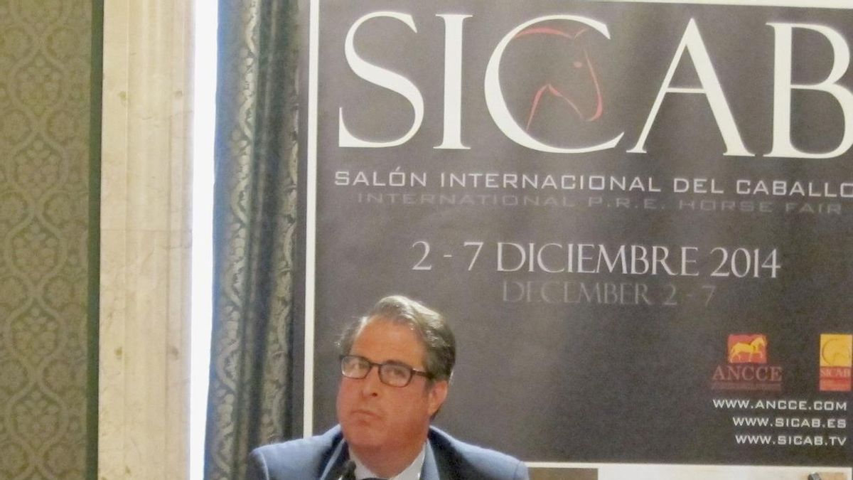 Serrano ve "razonable" la subida de abonos de Semana Santa, que se destinará a bolsas de caridad de Hermandades