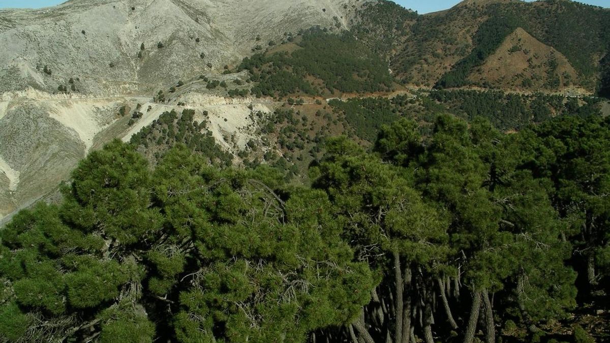 La Diputación respalda la propuesta para que Sierra Bermeja se convierta en Parque Nacional