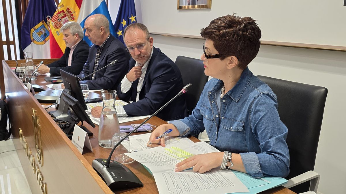 El Cabildo de La Palma aprueba la declaración de interés insular para ...