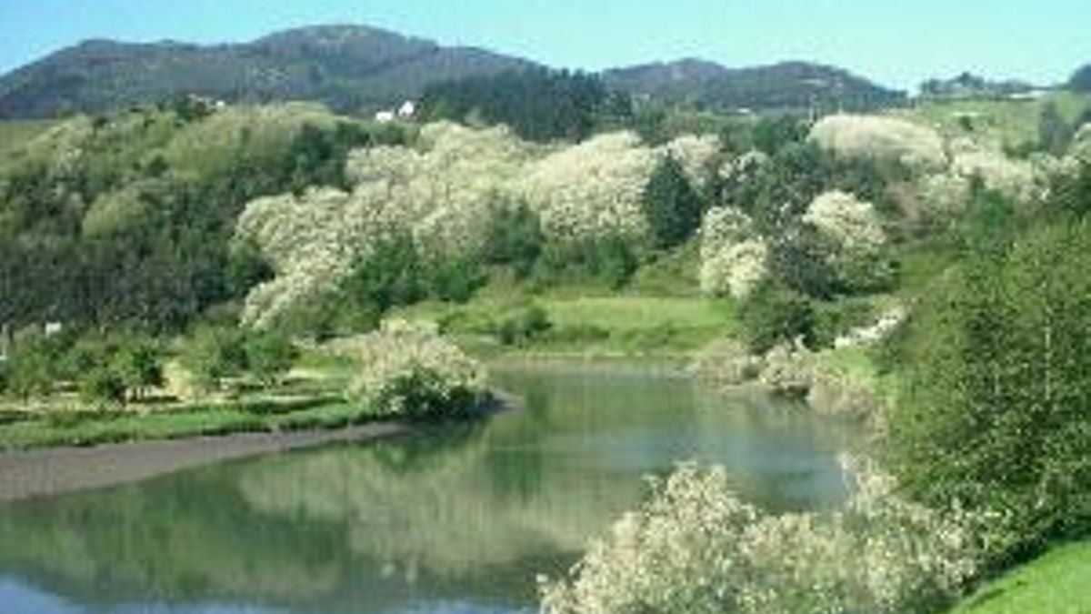 Estuario del río Deba.