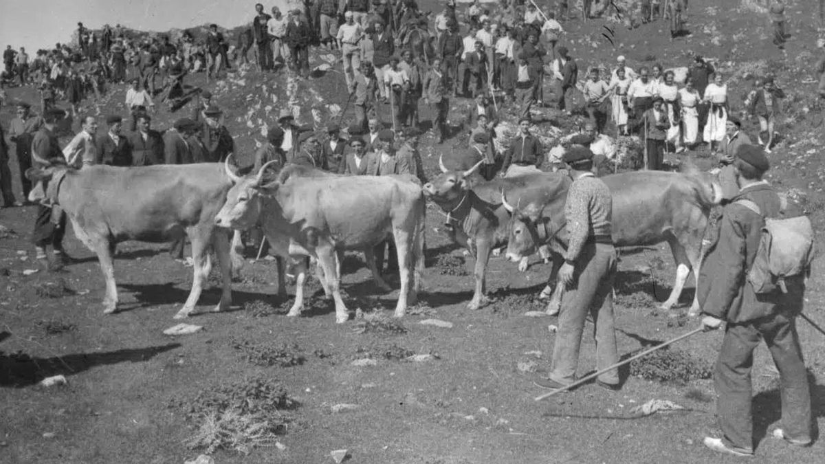 Imagen de la simbólica entrega