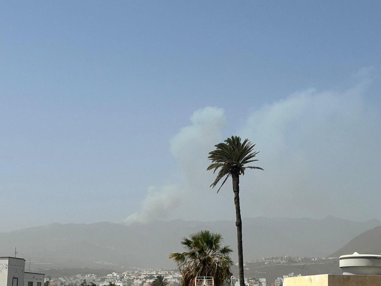 Vista del incendio declarado este lunes en Telde.