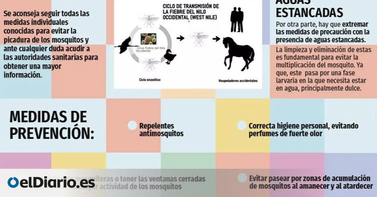 After Heavy Rain, Town Prepares Anti-Mosquito Treatment to Avoid Nile Virus