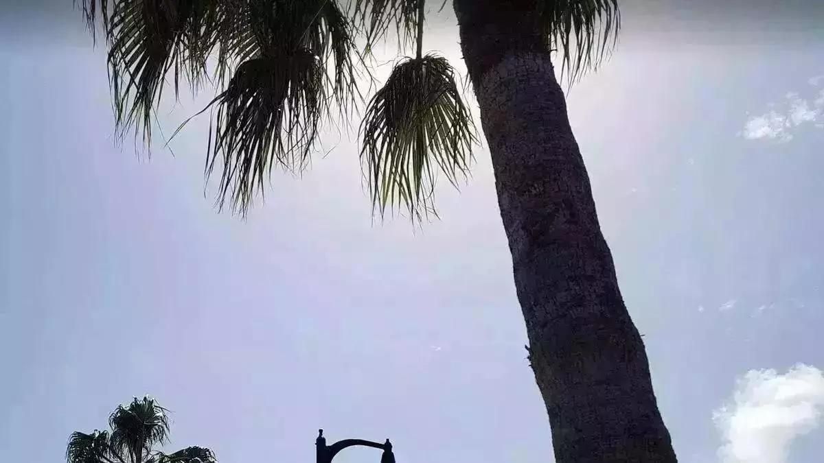 Alerta por calor en  La Palma y Gran Canaria